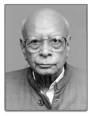 Professor Abidi
